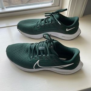 Nike Pegasus 38